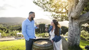 Taste of Waiheke Tour